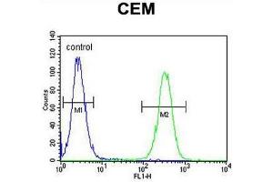 INHBA Antibody (N-term) flow cytometric analysis of CEM cells (right histogram) compared to a negative control cell (left histogram). (INHBA 抗体  (N-Term))