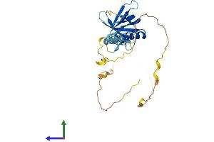 Protein Structure (PS) image for NECAP Endocytosis Associated 2 (NECAP2) (AA 1-263) protein (His tag) (ABIN7549781)