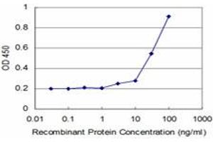 Detection limit for recombinant GST tagged TGIF2 is approximately 3ng/ml as a capture antibody. (TGIF2 抗体  (AA 131-236))