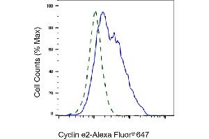 Validation of Cyclin e2 knockdown using flow cytometry. (Recombinant Cyclin E2 抗体)