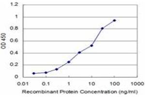 Detection limit for recombinant GST tagged PTX3 is approximately 0. (PTX3 抗体  (AA 282-380))