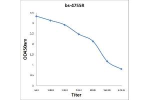 Antigen: 2 µg/100 µL  Primary: Antiserum, 1:500, 1:1000, 1:2000, 1:4000, 1:8000, 1:16000, 1:32000;  Secondary: HRP conjugated Rabbit Anti-Goat IgG at 1: 5000;  TMB staining Read the data in Microplate Reader by 450nm. (CD19 抗体  (AA 151-250))