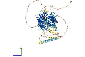 Protein Structure (PS) image for Kinesin Family Member 22 (KIF22) (AA 1-660) protein (His tag) (ABIN7557355)