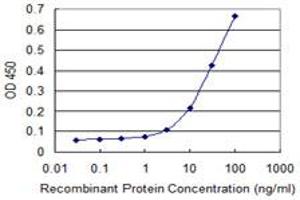 Detection limit for recombinant GST tagged PYGM is 1 ng/ml as a capture antibody. (PYGM 抗体  (AA 734-842))