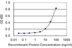 Detection limit for recombinant GST tagged IGF2BP2 is 1 ng/ml as a capture antibody. (IGF2BP2 抗体  (AA 1-598))