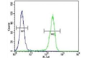 CRFR2D antibody flow cytometric analysis of HeLa cells (right histogram) compared to a negative control cell (left histogram). (CRFR2D 抗体)