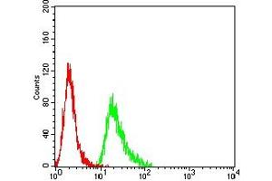 Flow cytometric analysis of Hela cells using MSH2 mouse mAb (green) and negative control (red). (MSH2 抗体  (AA 442-586))