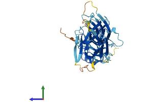 Protein Structure (PS) image for Arrestin 3, Retinal (X-Arrestin) (ARR3) (AA 1-381) protein (His tag) (ABIN7561407)