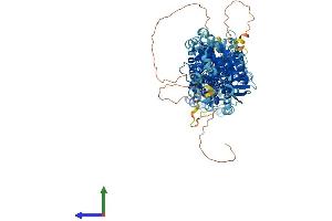 Protein Structure (PS) image for Solute Carrier Family 12 (Sodium/Chloride Transporters), Member 3 (SLC12A3) (AA 1-1021) protein (His tag) (ABIN7555341)