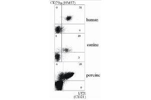 Flow Cytometry (FACS) image for anti-Complement Component (3d/Epstein Barr Virus) Receptor 2 (CR2) antibody (FITC) (ABIN238433) (CD21 抗体  (FITC))