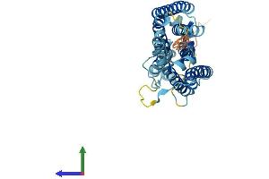 Protein Structure (PS) image for Organic Solute Transporter alpha (OSTALPHA) (AA 1-340) protein (His tag) (ABIN7550563)