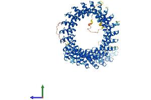 Protein Structure (PS) image for Ankyrin Repeat Domain 44 (ANKRD44) (AA 1-993) protein (His tag) (ABIN7552287)
