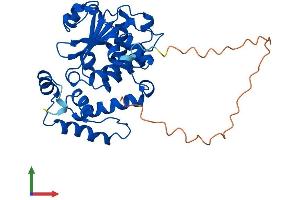 Protein Structure (PS) image for Clavesin 2 (CLVS2) (AA 1-327) protein (His tag) (ABIN7558535)