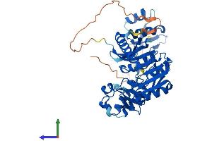 Protein Structure (PS) image for tRNA Methyltransferase 12 Homolog (TRMT12) (AA 1-448) protein (His tag) (ABIN7544891)