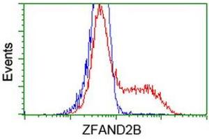HEK293T cells transfected with either RC203822 overexpress plasmid (Red) or empty vector control plasmid (Blue) were immunostained by anti-ZFAND2B antibody (ABIN2454174), and then analyzed by flow cytometry.