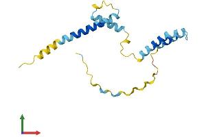 Protein Structure (PS) image for Hairy and Enhancer of Split 2 (HES2) (AA 1-157) protein (His tag) (ABIN7562415)