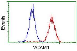 Flow Cytometry (FACS) image for anti-Vascular Cell Adhesion Molecule 1 (VCAM1) antibody (ABIN1497154) (VCAM1 抗体)