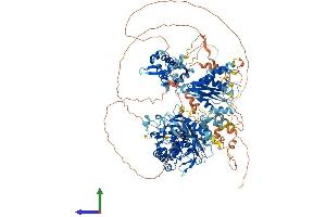 Protein Structure (PS) image for Adenosine Deaminase, RNA-Specific (ADAR) (AA 1-1226) protein (His tag) (ABIN7553743)