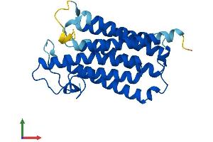 AlphaFold protein structure predicition of Human Recombinant SRD5A1 Protein, UniprotID P18405