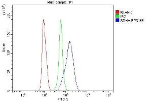 Flow Cytometry analysis of RAW264. (SDHA 抗体  (C-Term))