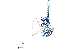 Protein Structure (PS) image for Synaptotagmin XI (SYT11) (AA 1-430) protein (His tag) (ABIN7556191)