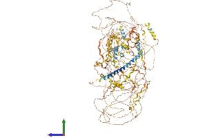 AlphaFold protein structure predicition of Human Recombinant COL17A1 Protein, UniprotID Q9UMD9