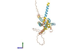 Protein Structure (PS) image for Apolipoprotein L, 6 (APOL6) (AA 1-343) protein (His tag) (ABIN7552226)