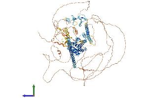 Protein Structure (PS) image for LIM and Calponin Homology Domains 1 (LIMCH1) (AA 1-1083) protein (His tag) (ABIN7554428)