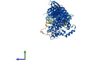 AlphaFold protein structure predicition of Mouse Recombinant Nsmaf Protein, UniprotID O35242