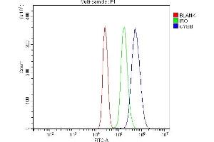 Flow Cytometry analysis of U937 cells using anti-NOX2/Gp91phox/CYBB antibody (ABIN7601684). (CYBB 抗体  (AA 416-527))