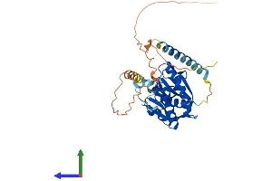 AlphaFold protein structure predicition of Human Recombinant AKAP7 Protein, UniprotID Q9P0M2