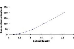 Typical standard curve (ITLN2 ELISA 试剂盒)