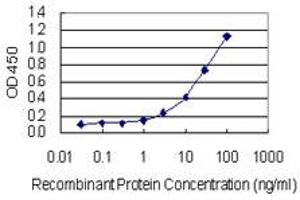ELISA image for anti-Glutamate Decarboxylase 2 (Pancreatic Islets and Brain, 65kDa) (GAD2) (AA 1-585) antibody (ABIN1327033)