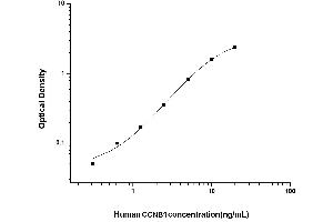 Typical standard curve (Cyclin B1 ELISA 试剂盒)