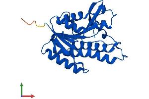 Protein Structure (PS) image for Quinoid Dihydropteridine Reductase (QDPR) (AA 1-241) protein (His tag) (ABIN7558929)