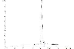 Size-exclusion chromatography-High Pressure Liquid Chromatography (SEC-HPLC) image for Interleukin 11 Receptor, alpha (IL11RA) (AA 24-370) protein (His tag) (ABIN7275012)