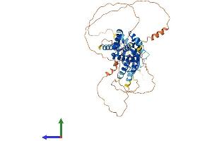 AlphaFold protein structure predicition of Mouse Recombinant Msl3 Protein, UniprotID Q9WVG9