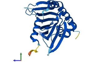 Protein Structure (PS) image for Phosphatidylcholine Transfer Protein (PCTP) (AA 1-214) protein (His tag) (ABIN7550861)