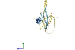 Protein Structure (PS) image for Collectin Sub-Family Member 12 (COLEC12) (AA 1-742) protein (His tag) (ABIN7564679)