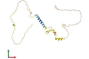 Protein Structure (PS) image for Calcyon Neuron-Specific Vesicular Protein (CALY) (AA 1-217) protein (His tag) (ABIN7552894)