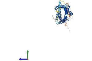 AlphaFold protein structure predicition of Human Recombinant AGTR1 Protein, UniprotID P30556