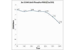 ELISA image for anti-Pyruvate Kinase M2 (PKM2) (pTyr105) antibody (ABIN744773)