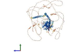 Protein Structure (PS) image for Protein Phosphatase 1, Regulatory Subunit 13B (PPP1R13B) (AA 1-1090) protein (His tag) (ABIN7552432)
