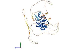 AlphaFold protein structure predicition of Human Recombinant SYN1 Protein, UniprotID P17600
