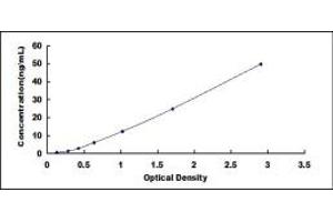 Typical standard curve (GPR58 ELISA 试剂盒)