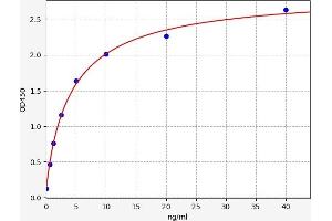 STAT2 ELISA 试剂盒