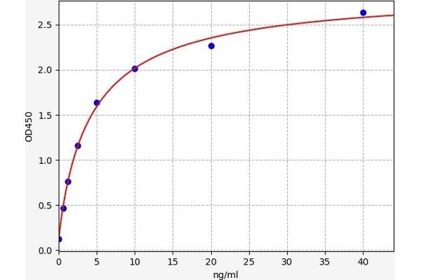 STAT2 ELISA 试剂盒