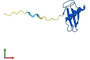Protein Structure (PS) image for Elongation Factor 1 Homolog (ELOF1) (AA 1-83) protein (Fc Tag) (ABIN7547348)