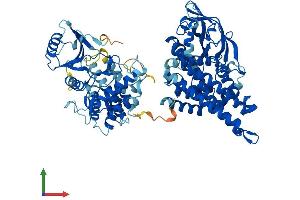 Protein Structure (PS) image for Acyl-CoA Dehydrogenase Family, Member 11 (ACAD11) (AA 1-779) protein (His tag) (ABIN7558421)