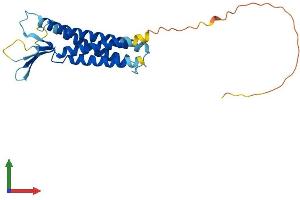 Protein Structure (PS) image for Claudin 10 (CLDN10) (AA 1-231) protein (His tag) (ABIN7556355)